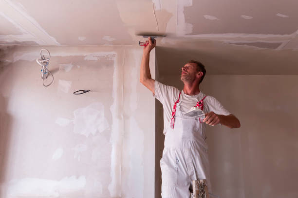 Best Drywall for New Construction  in Vallejo, CA